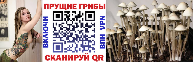 купить закладку  Кондрово  Галлюциногенные грибы Magic Shrooms 